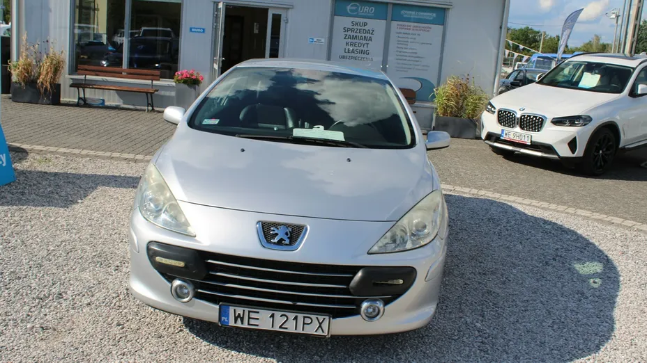 PEUGEOT 307 -