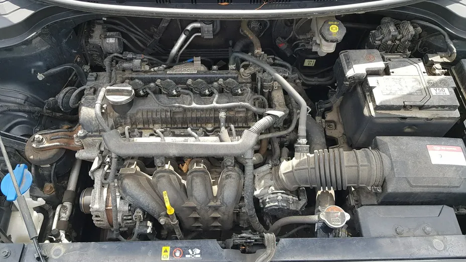 KIA Rio -