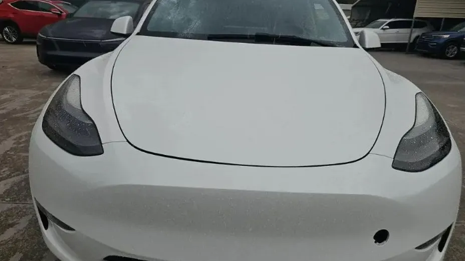TESLA Model Y -
