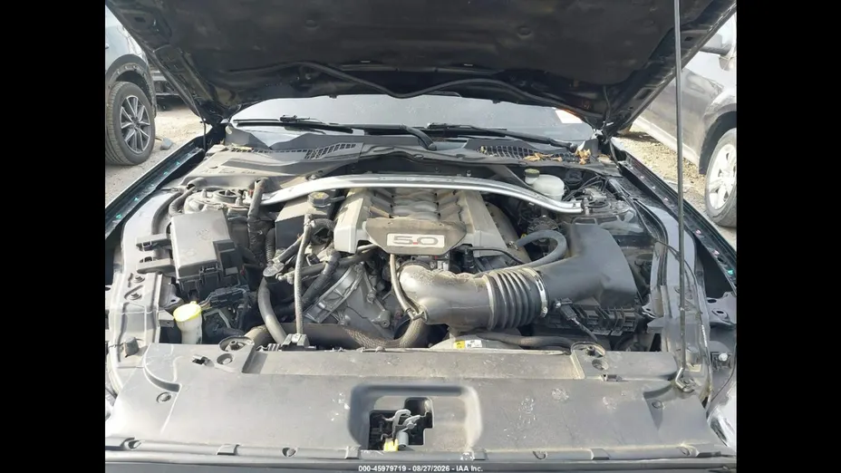 FORD Mustang -
