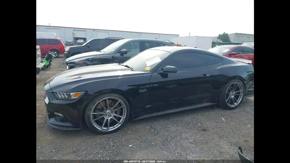 FORD Mustang -