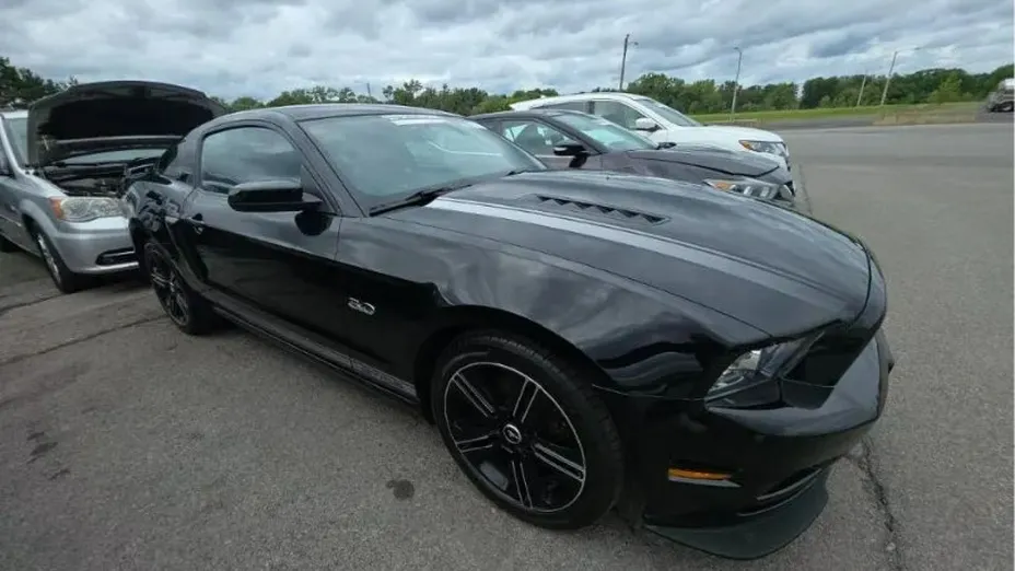 FORD Mustang -