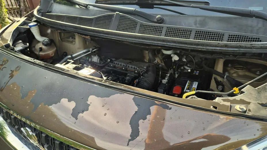 PEUGEOT Traveller -
