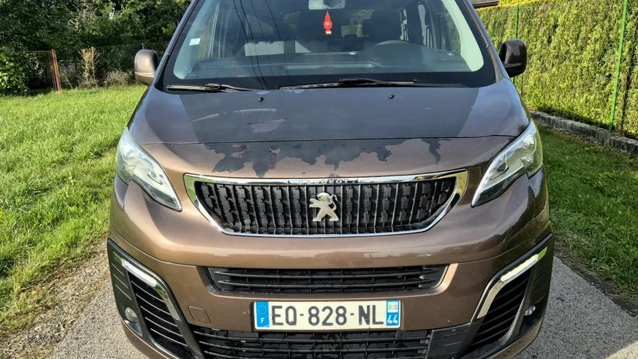 PEUGEOT Traveller -