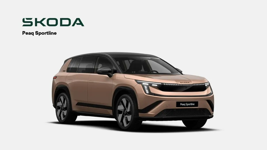 SKODA 100 -