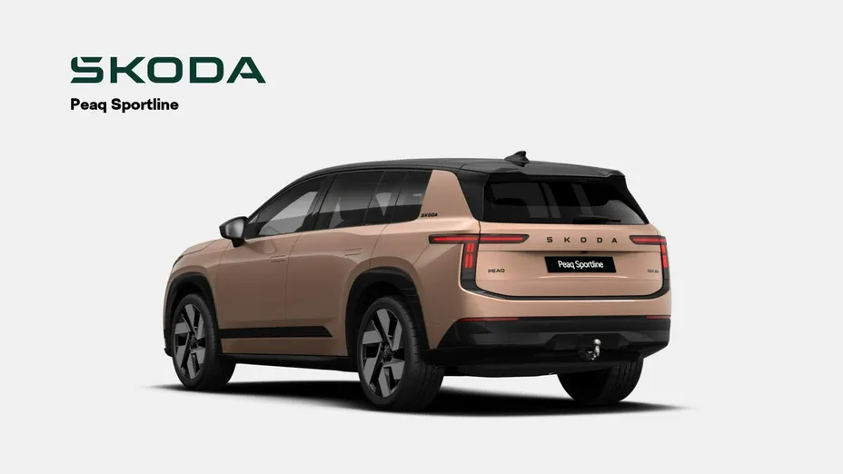 SKODA 100 -