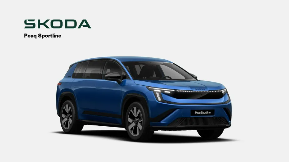 SKODA 100 -