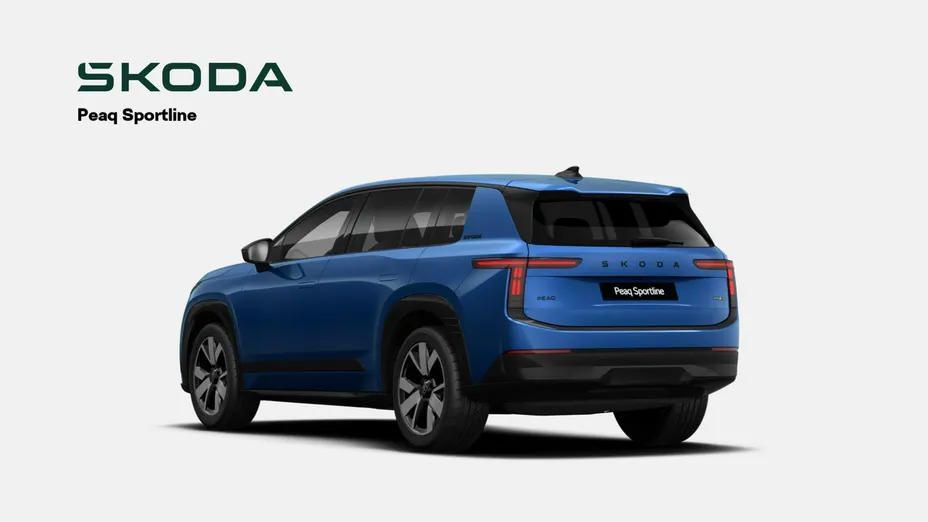 SKODA 100 -