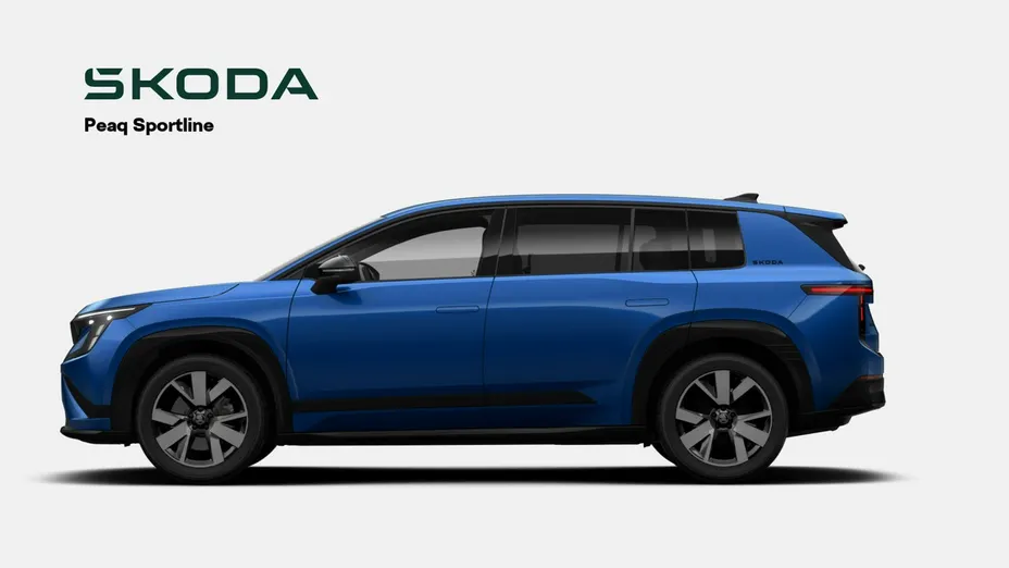 SKODA 100 -