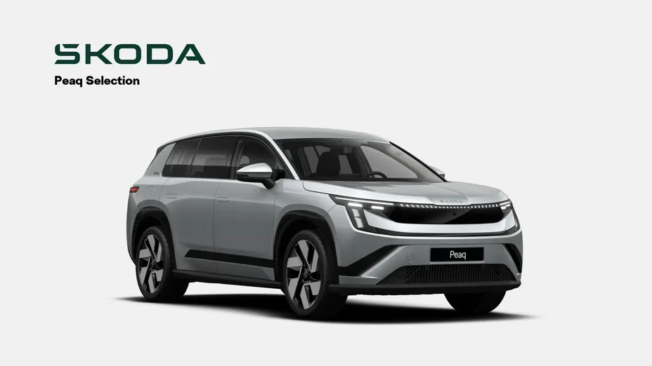 SKODA 100 -