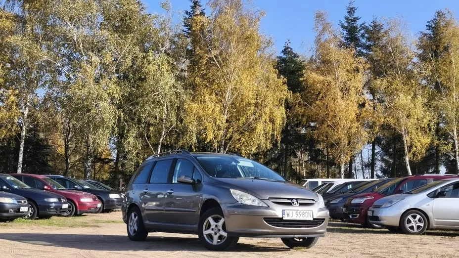 PEUGEOT 307 -