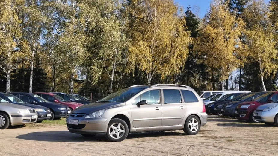 PEUGEOT 307 -