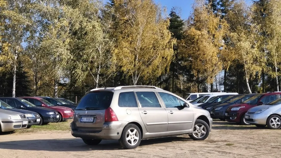 PEUGEOT 307 -