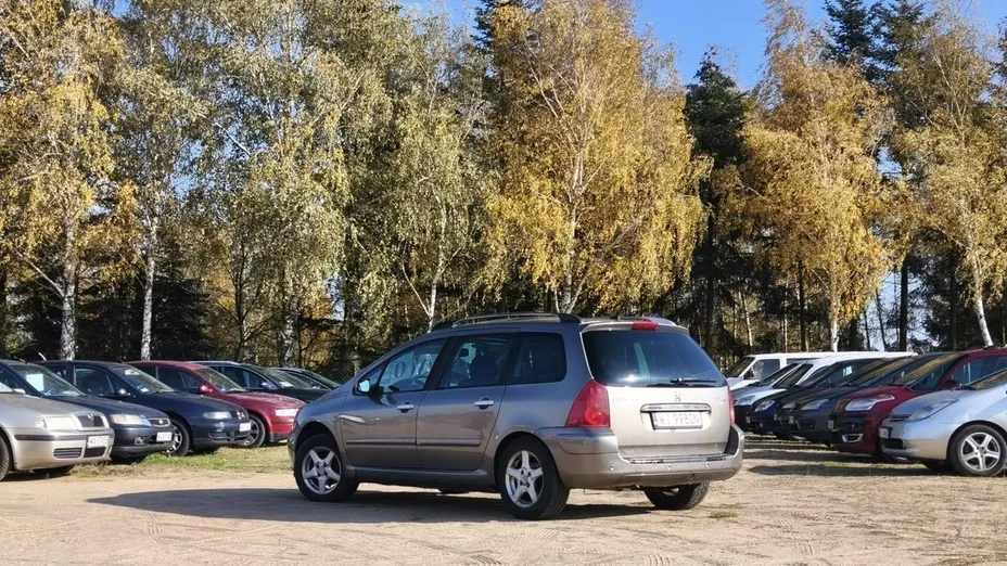 PEUGEOT 307 -