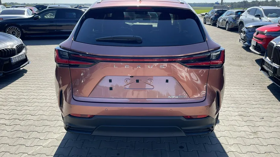 LEXUS NX -