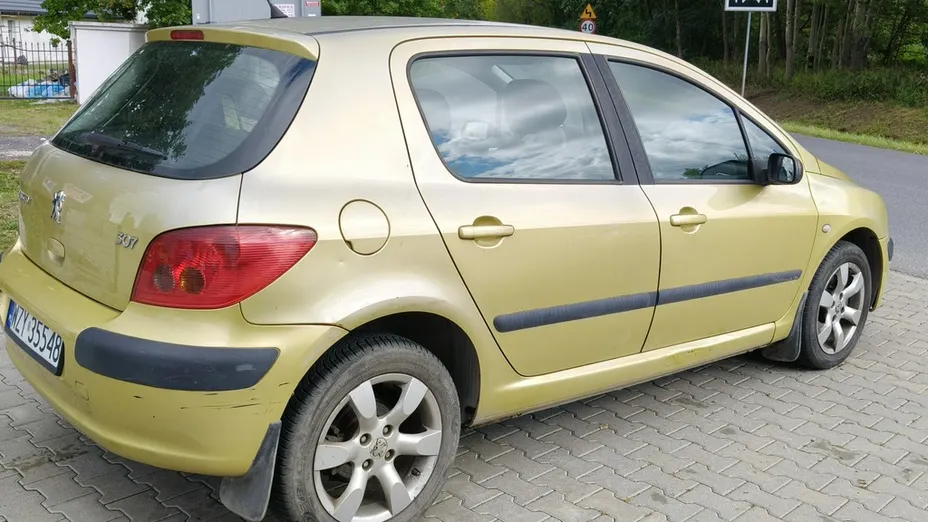 PEUGEOT 307 -