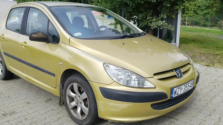 PEUGEOT 307 -