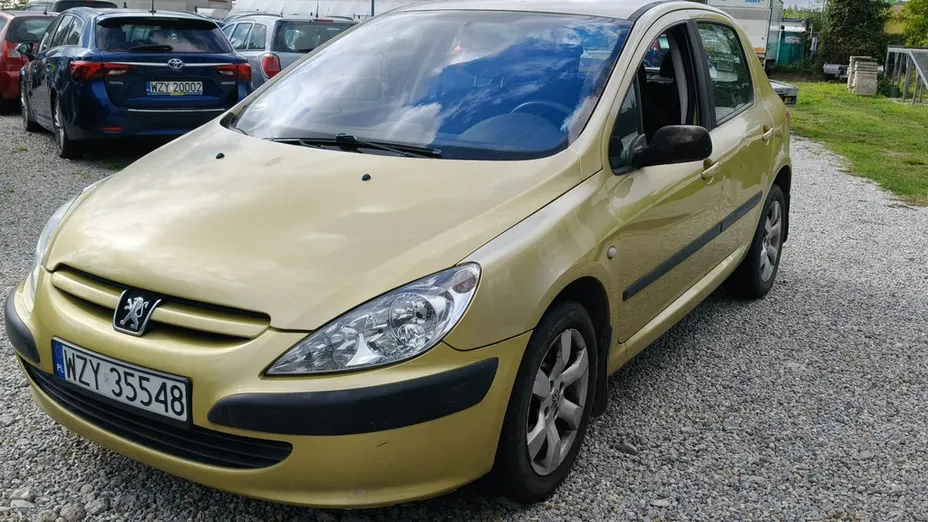 PEUGEOT 307 -