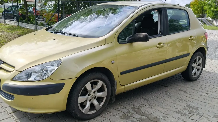 PEUGEOT 307 -