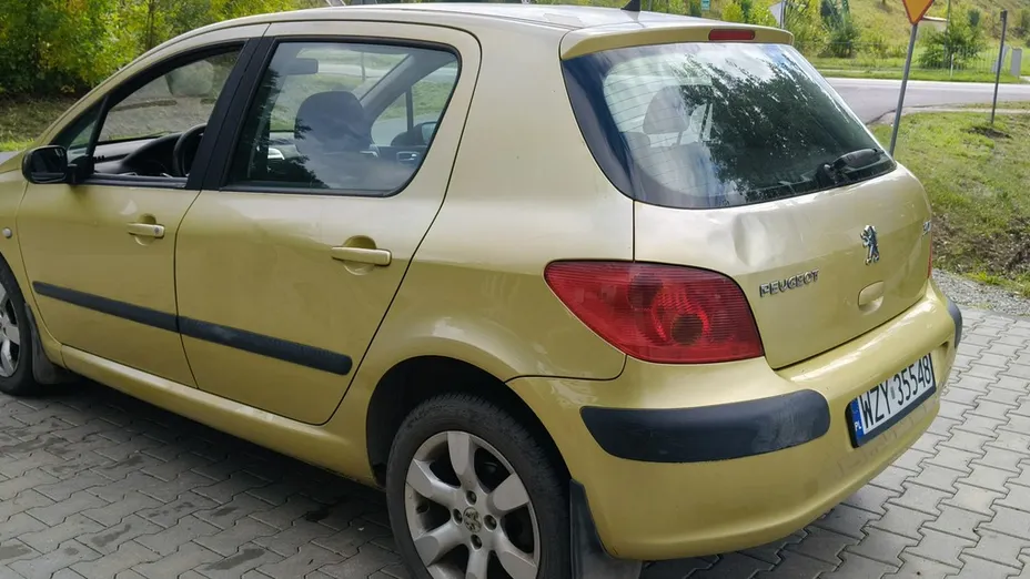 PEUGEOT 307 -