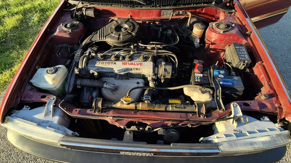 TOYOTA Corolla -