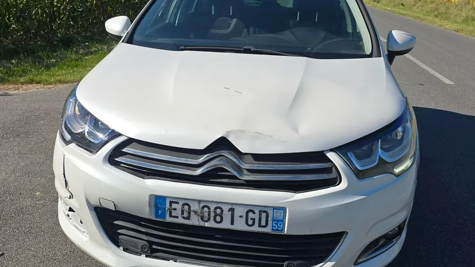 CITROEN C4 -