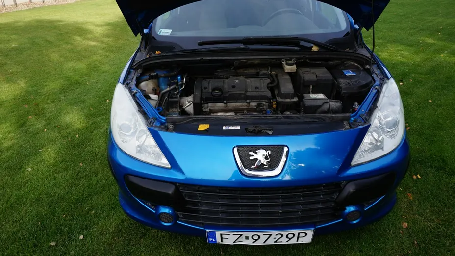 PEUGEOT 307 -