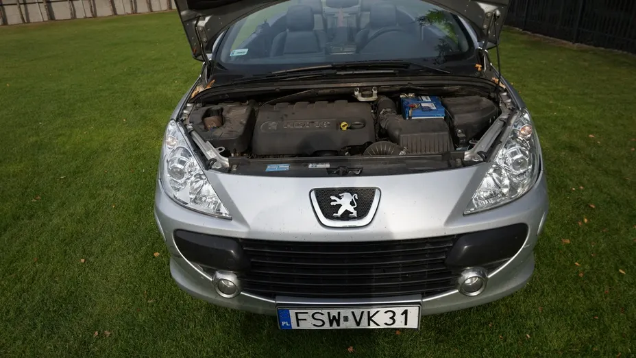 PEUGEOT 307 -