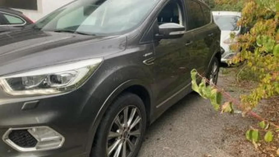 FORD Kuga -