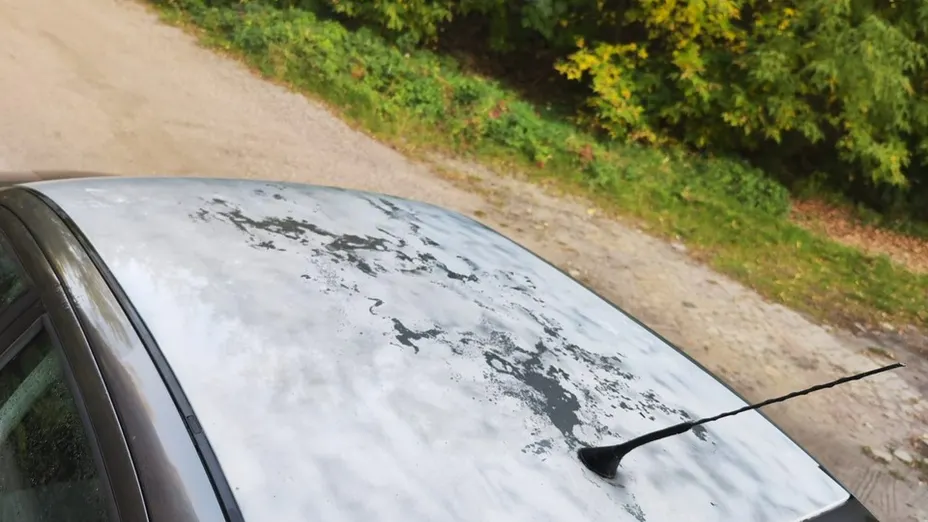 SEAT Leon -