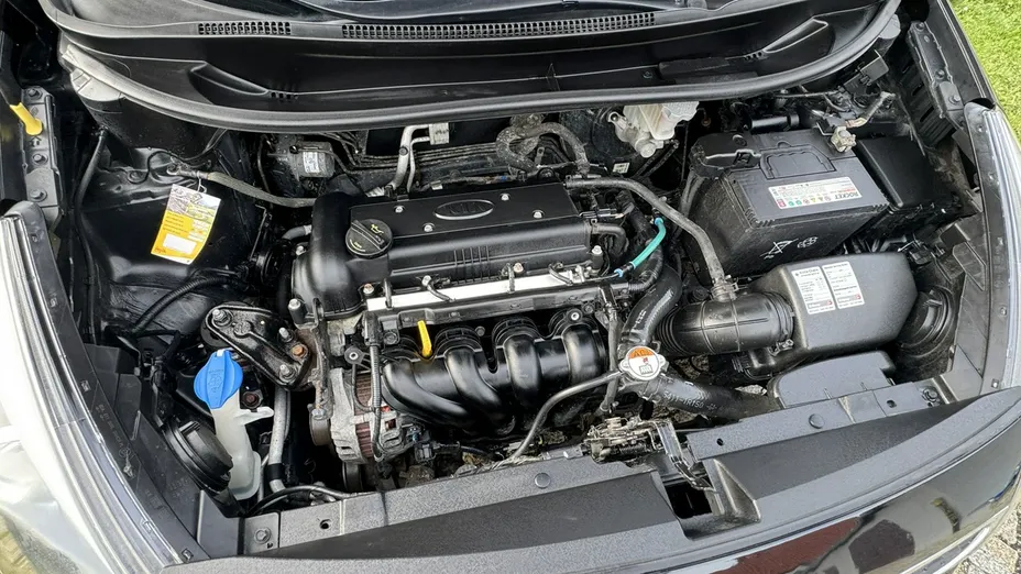 KIA Rio -