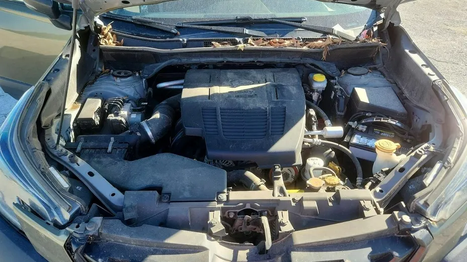 SUBARU Forester -