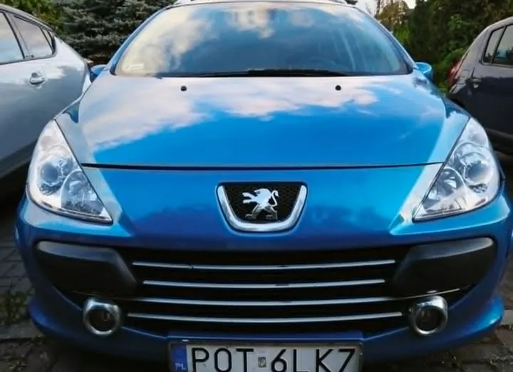 PEUGEOT 307 -