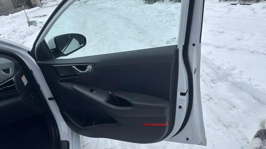 HYUNDAI Ioniq Ioniq electric Platinum