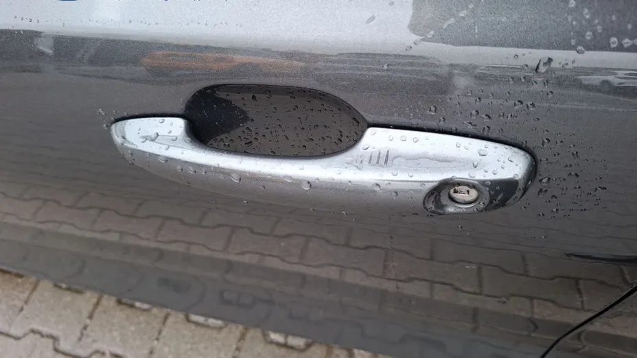 FORD Focus Focus 1.0 EcoBoost mHEV Titanium X aut