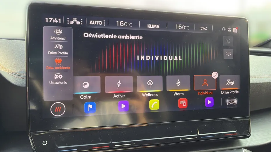 CUPRA Formentor Formentor 2.0 TSI 4Drive VZ DSG