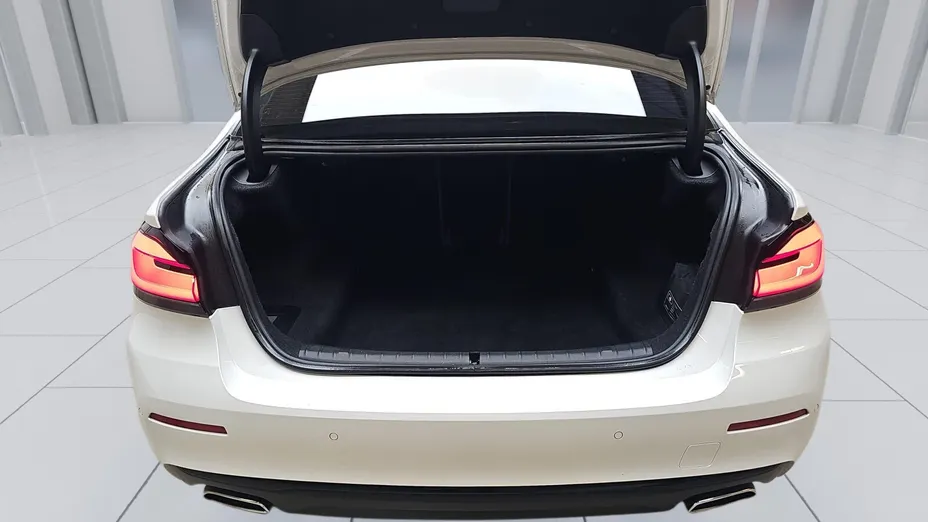 BMW Seria 5 520d mHEV aut