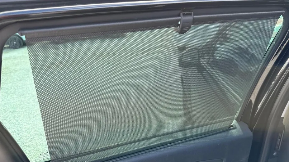 RENAULT Scenic -