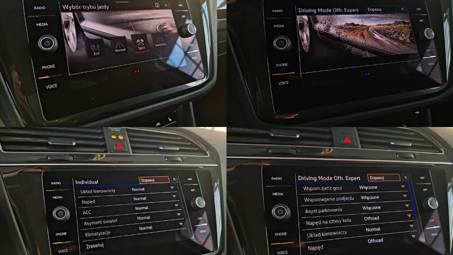 VOLKSWAGEN Tiguan Tiguan 2.0 TSI 4Mot. Elegance DSG