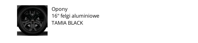 DACIA Sandero Sandero Stepway 1.0 TCe110 Extreme Nowy