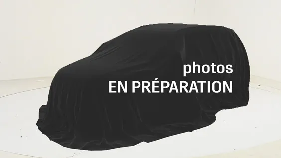 PEUGEOT 3008 -