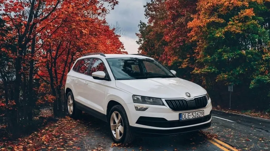 SKODA Karoq Karoq 2.0 TDI SCR 4x2 Ambition DSG