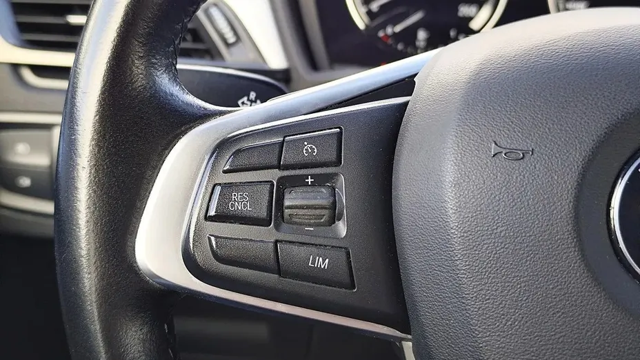 BMW X2 X2 sDrive18i Advantage aut