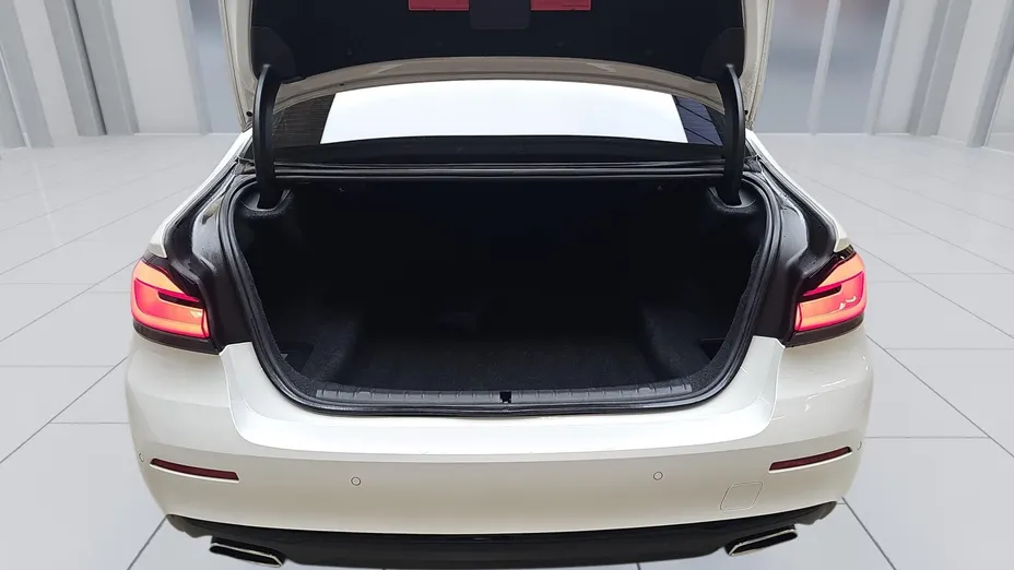 BMW Seria 5 520d mHEV aut