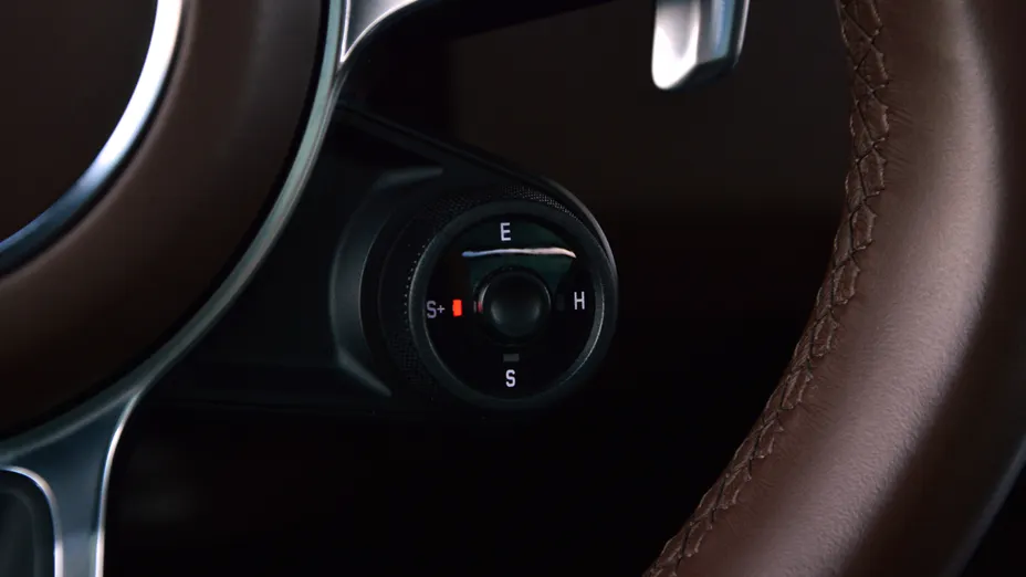 PORSCHE Cayenne Cayenne E-Hybrid Platinum Edition