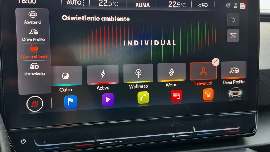 CUPRA Leon Leon 2.0 TDI DSG
