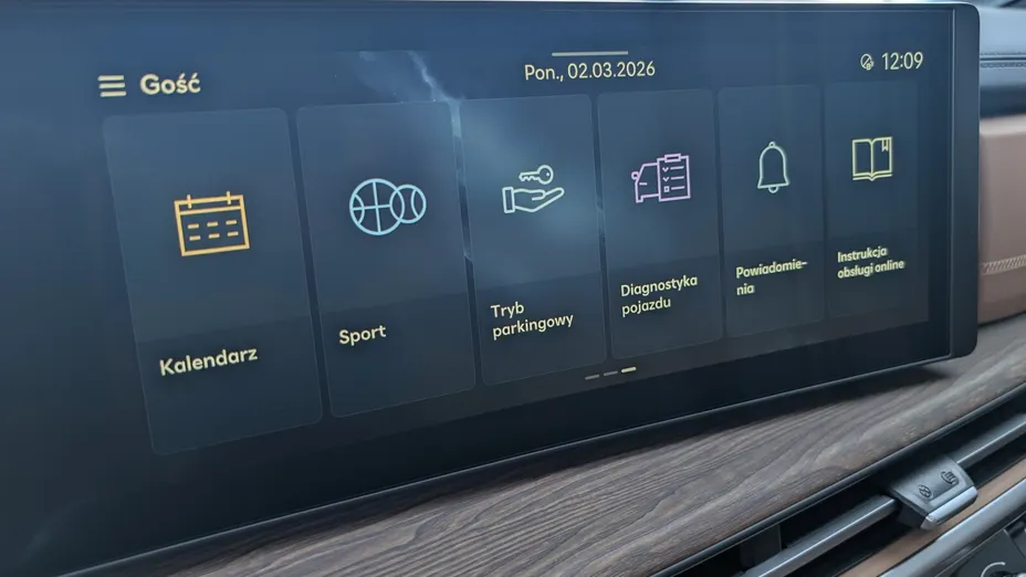 HYUNDAI Santa Fe Santa Fe 1.6 T-GDI PHEV Caligraphy 4WD aut 6os. Nowy