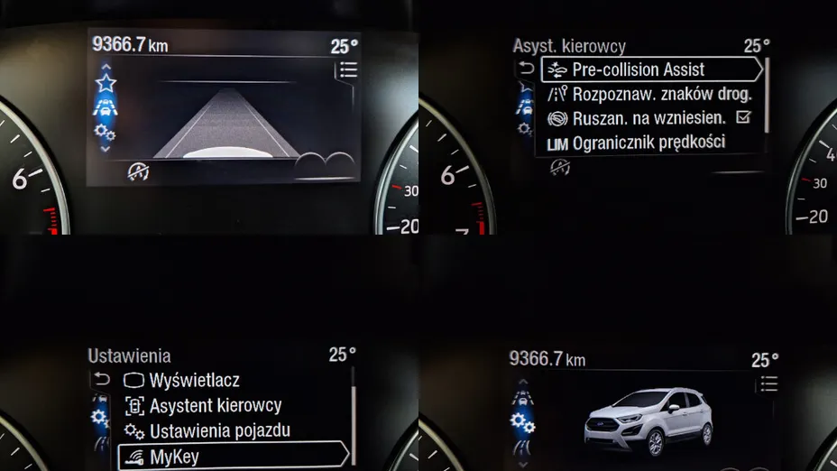 FORD Ecosport Ecosport 1.0 EcoBoost GPF Titanium ASS