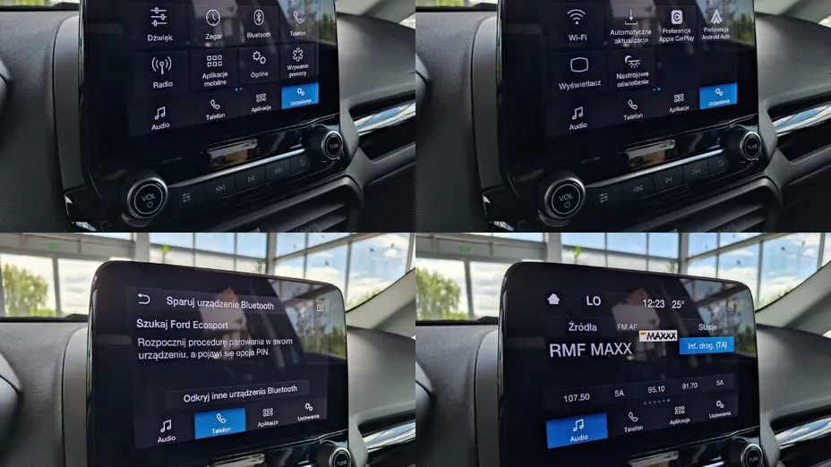 FORD Ecosport Ecosport 1.0 EcoBoost GPF Titanium ASS