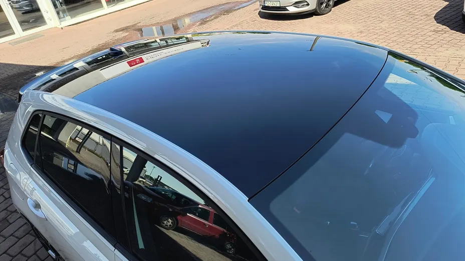 VOLKSWAGEN Polo Polo 2.0 TSI GTI DSG
